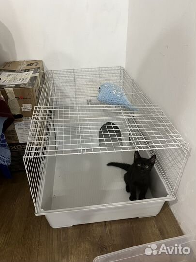 Клетка для грызунов большая