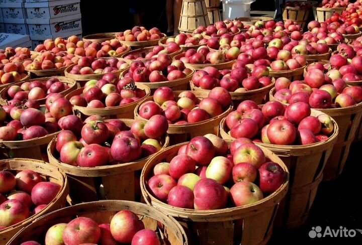 Требуется Сборщик