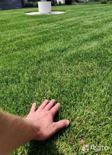 Купить рулонный газон