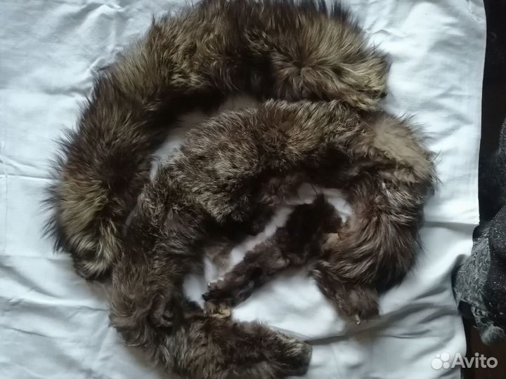 Воротник