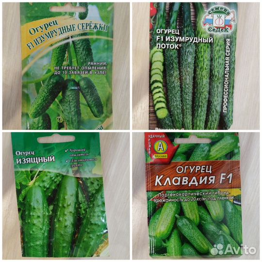 Арбузы, дыни, огурцы, перцы