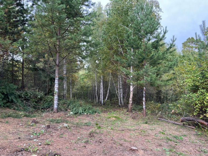 Участок 20 сот. (ИЖС)