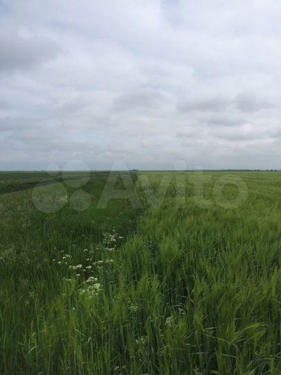 Участок 5,7 га (СНТ, ДНП)