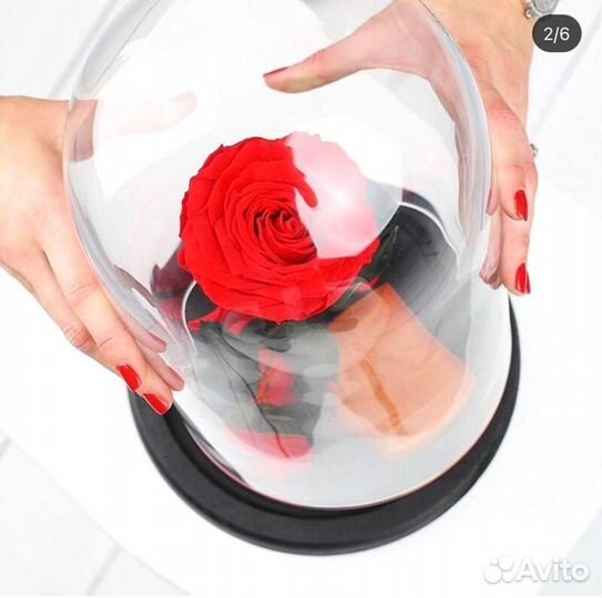 Роза в колбе