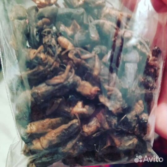 Яблочный уксус без сахара