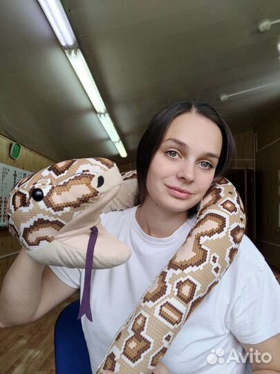 Репетитор по английскому языку и испанскому языку