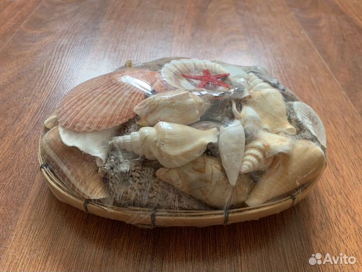 Набор морских ракушек для аквариума
