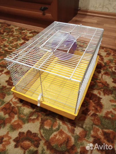Клетка для хомяка 1000р