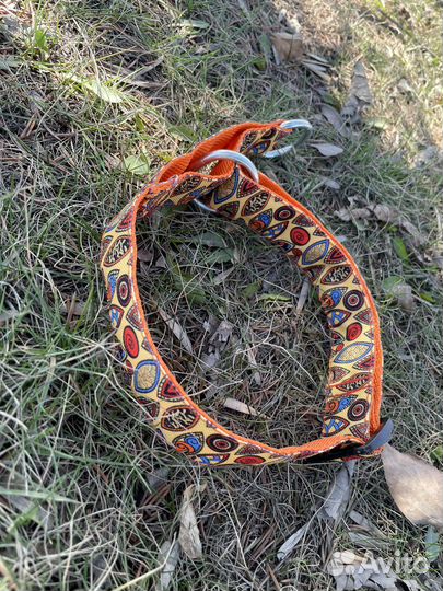 Ошейник для собак