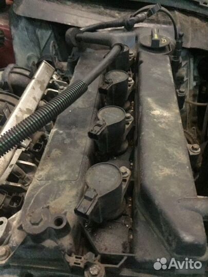 Катушки зажигания Ford Focus 2