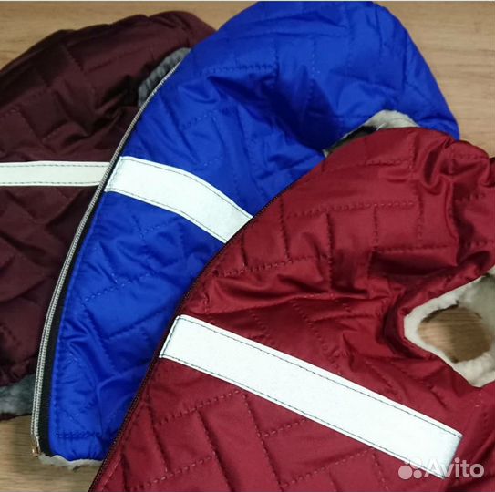 Одежда для собак