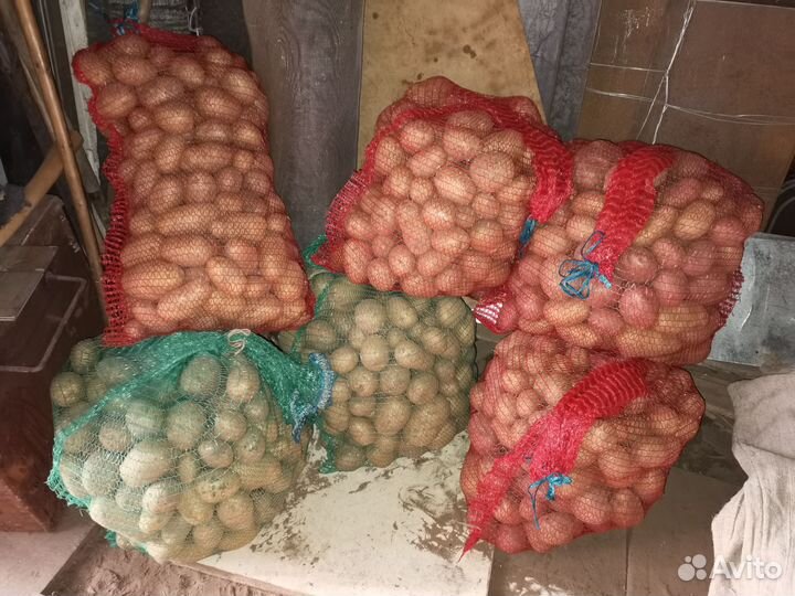 Продам картофель отборный