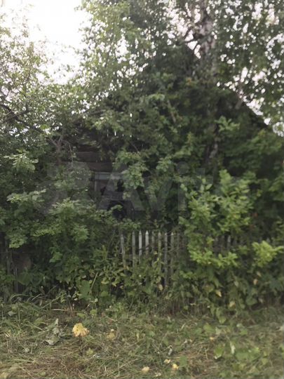 Участок 53 сот. (ИЖС)