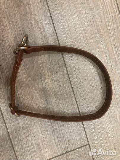 Ошейник для собак