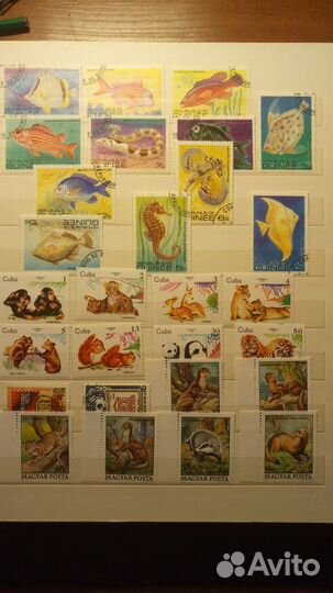 Марки Фауна СССР Зарубежные 1959-1982г