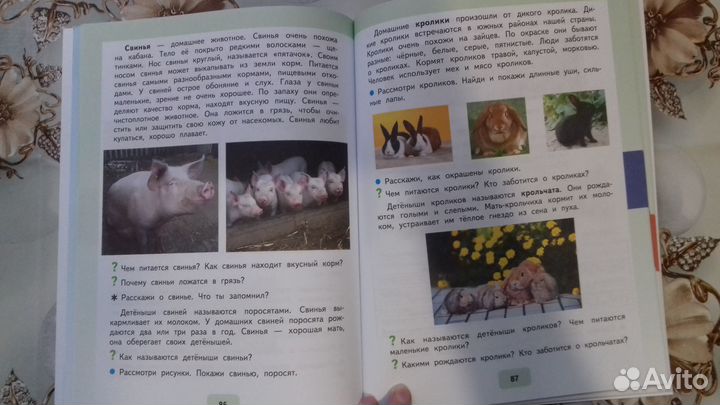 Матвеева, Попова. Живой мир 3 и 4 класс Учебник