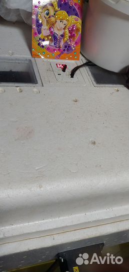 Инкубатор несушка 77 яйца и 36 яиц