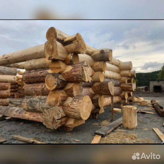 Сруб дома из бревна