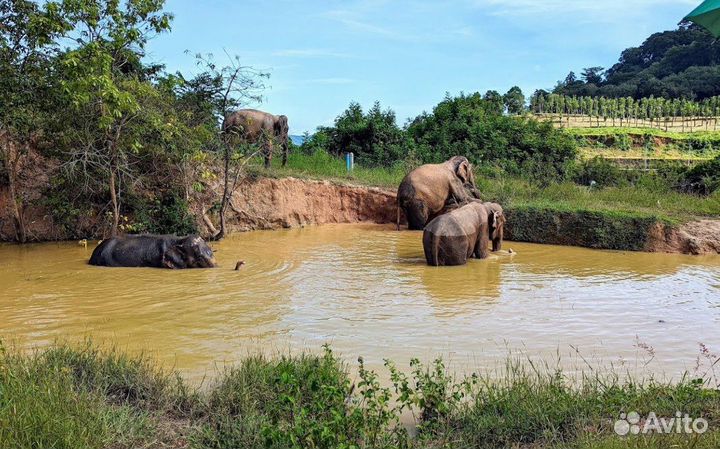 Лучшая карта Пхукета Секретные места
