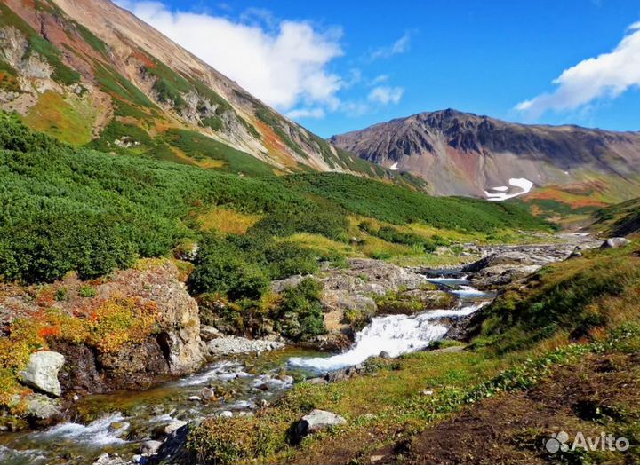 Авторский тур Камчатка летний период от 7 до 9 дн