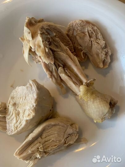 Мясо бройлера