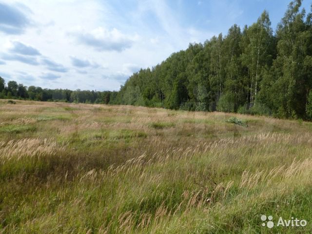 Участок 5,5 га (СНТ, ДНП)