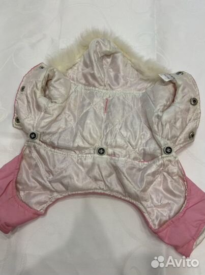 Одежда для собак