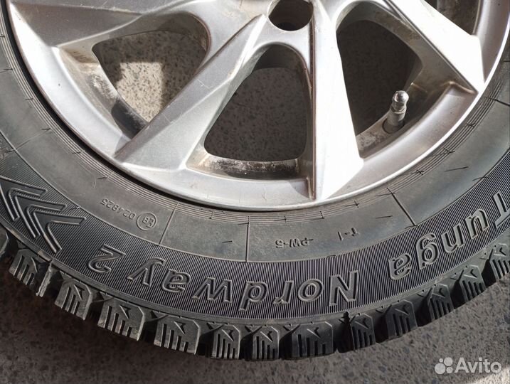 Tunga Nordway 2 175/70 R13