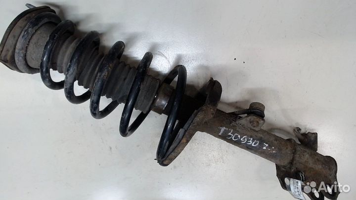 Амортизатор подвески Lexus RX, 2001