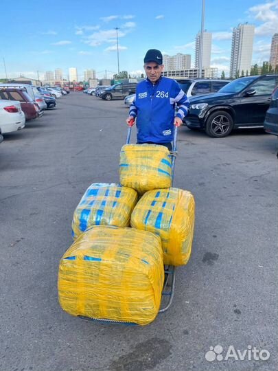 Байер тяк москва садовод посредник баер