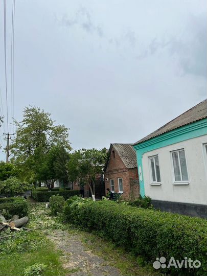 Спил деревьев и обрезка деревьев