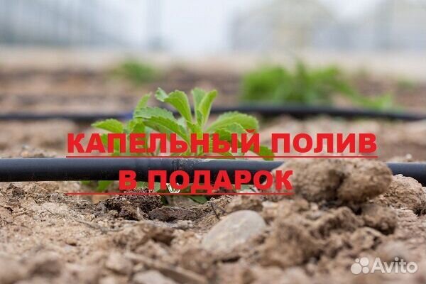 Теплица Прямостенная 3х4 Карбонат 4мм