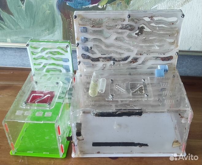 Муравьиная ферма бу