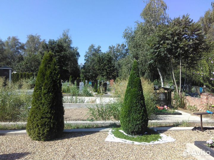 Услуги садовника