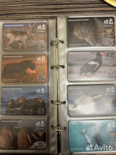 Карта тройка Красная книга