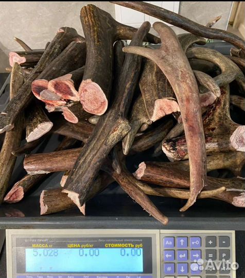 Здоровые суставы вашего питомца