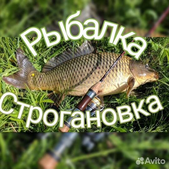 Рыбалка Крым