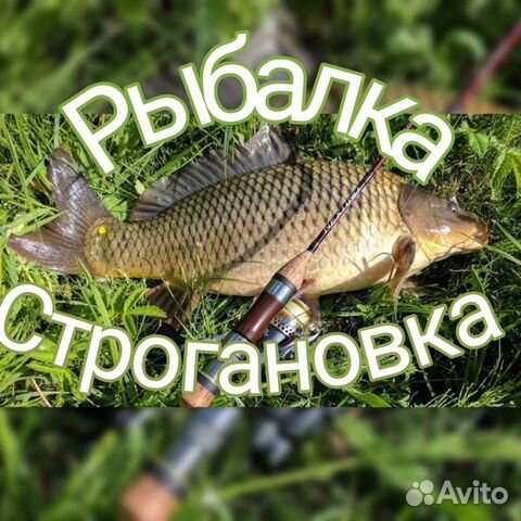 Рыбалка Крым