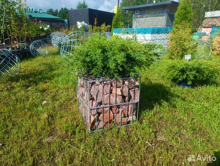 Украшение для сада. Клумба. Фигура из габиона