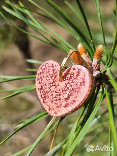 Адресник для собак