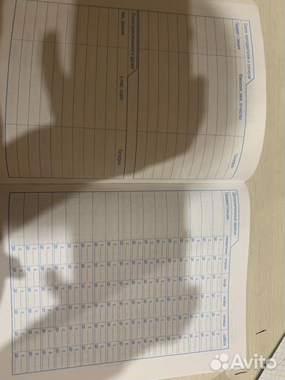 Дневник школьный