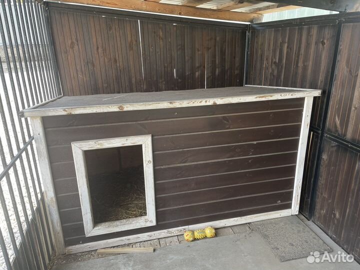 Вольер для собак бу уличный