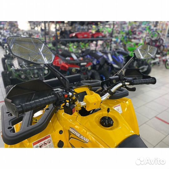 Квадроцикл Motoland Wild Track X 200 PRO + лебедка