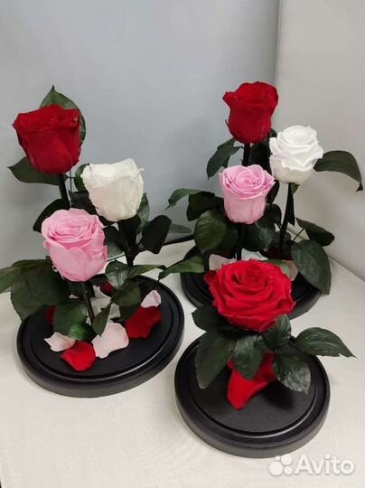 Роза в колбе оптом и в розницу