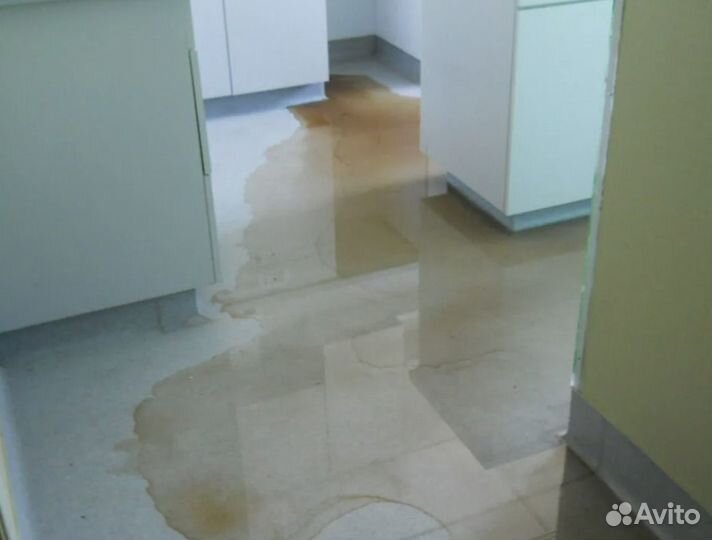 Осушитель воздуха Аренда / Прокат DH44