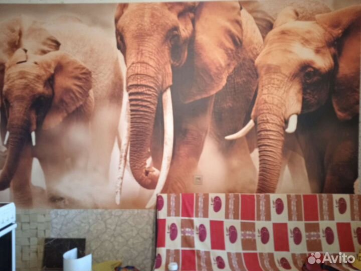 Фотообои флизелиновые