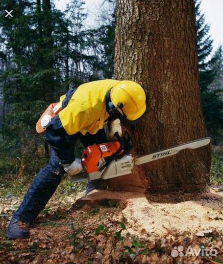 Спил деревьев. Благоустройство участка. Самовывоз