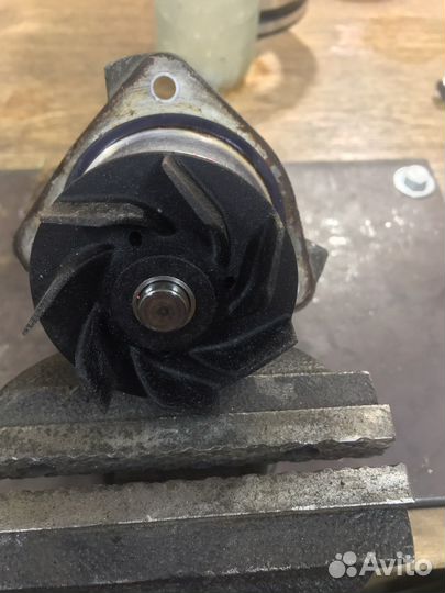 Помпа туарег