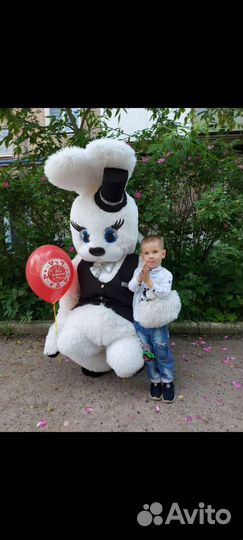 Мишка тедди на праздник