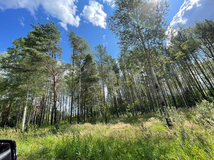 Участок 50 сот. (ИЖС)